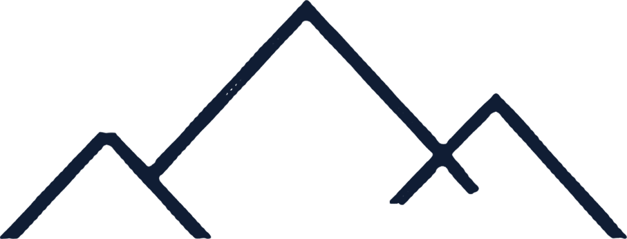 VANN Logo
